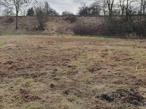 20240220_133809.jpg - Grundstück in Ortenberg