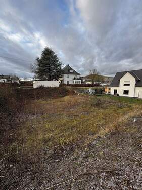 Baugrundstück - Grundstück in Leiwen zum Kaufen