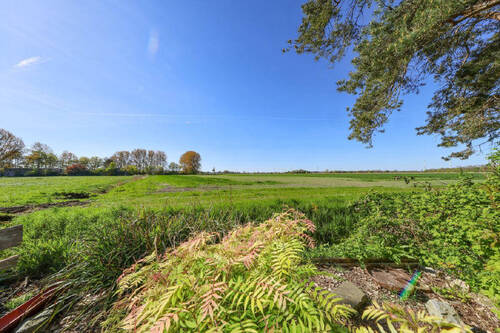 Ausblick - 