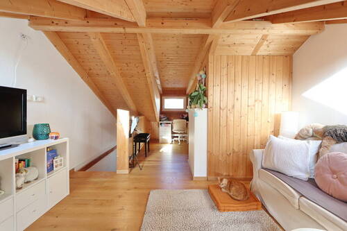 Dachstudio (2) - 