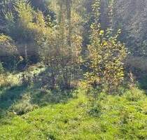 Ihr Wohntraum beginnt hier! - 85.000,00 EUR Kaufpreis, ca.  0,00 m² in Freital (PLZ: 01705) Weißig