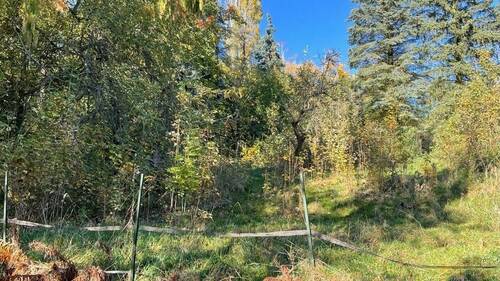 Baugrundstück - Grundstück in Freital