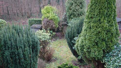 Ihr Garten liegt direkt am Wald - 
