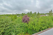 Bild13 - 
