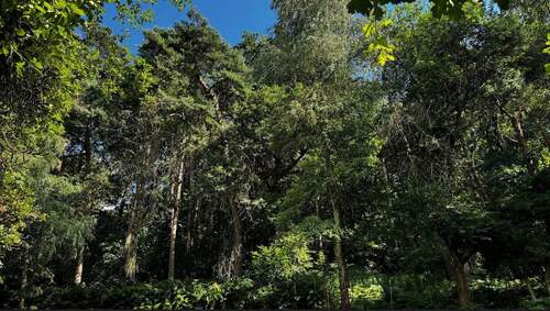 Wald - 6 Zimmer Einfamilienhaus zum Kaufen in Dortmund