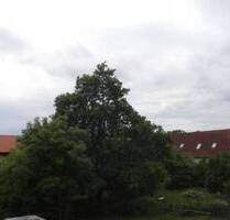 Angenehmes Wohnen auf dem Lande mit netten Mitmietern - Sponholz Warlin