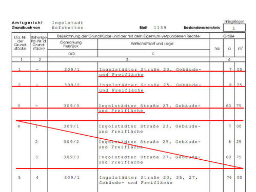 Auszug_Grundbuch - Gelegenheit! Grundstück für bis zu 12 potentiellen Baugrundstücken!