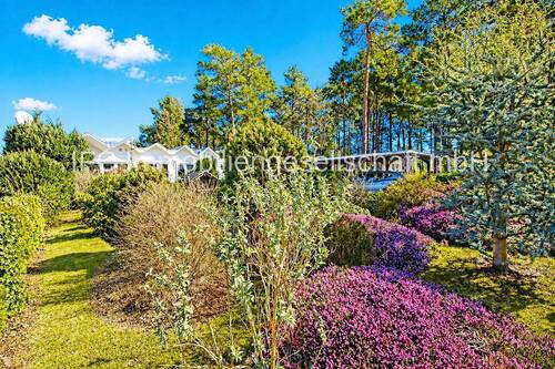 Blick auf Haus und Grundstück - 