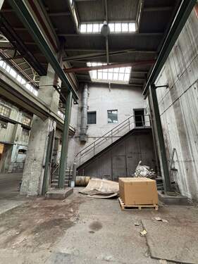 PHOTO-2025-08-20-17-55-09.jpg - 