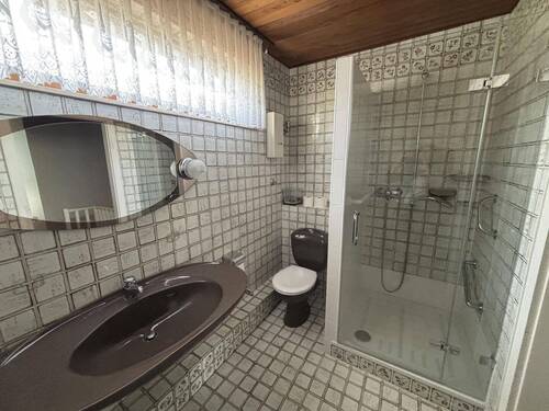 Tageslichtbad mit Dusche - 