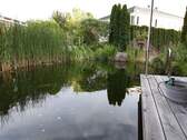 Blick über den Teich - 