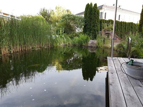 Blick über den Teich - 