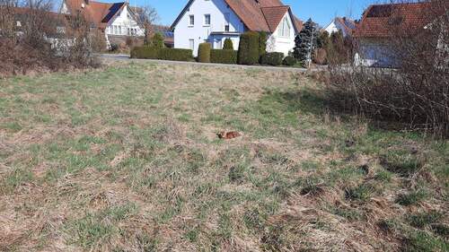 1000026370.jpg - Mühlhausen Baugrundstück - 395.000,00&nbsp;EUR Kaufpreis, ca.&nbsp; 0,00&nbsp;m&sup2;