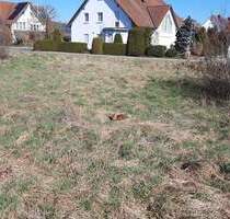 Mühlhausen Baugrundstück - 395.000,00&nbsp;EUR Kaufpreis, ca.&nbsp; 0,00&nbsp;m&sup2; in Mühlhausen (PLZ: 92360)