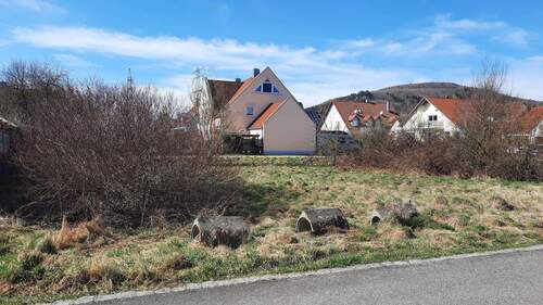 1000026364.jpg - Grundstück in Mühlhausen