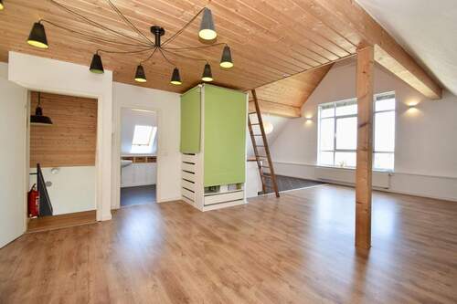 Dachstudio - 