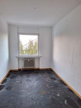 20260111_152542_resized.jpg - 