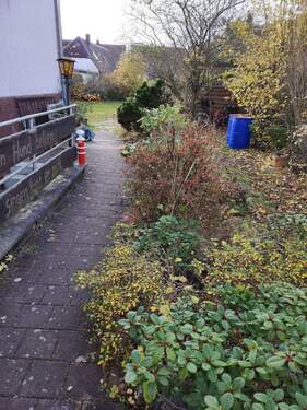 Weg im Garten - 