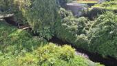 Bild 12 - 