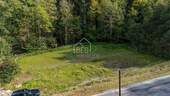 Koppel - 