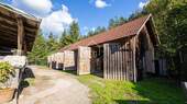 Zwinger - 