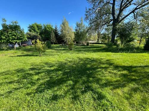 Sommerimpression - 