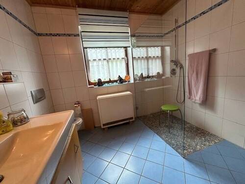 Tageslichtbad mit großer Dusche - 