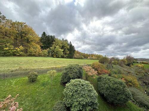Ausblick vom Balkon - 