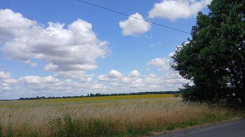 Naturnah - Einfamilienhaus mit 62,00 m&sup2; in Rauen zum Kaufen