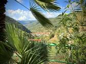 AP_1050_TERRA ITALIA IMMOBILIEN_LIGURIEN_APRICALE_ - 