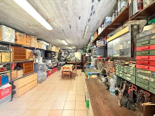 AP_1050_TERRA ITALIA IMMOBILIEN_LIGURIEN_APRICALE_ - 