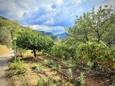 AP_1050_TERRA ITALIA IMMOBILIEN_LIGURIEN_APRICALE_ - 