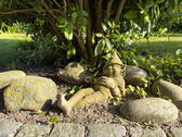 pure Entspannung - 