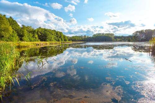 Blick auf den Haussee - 