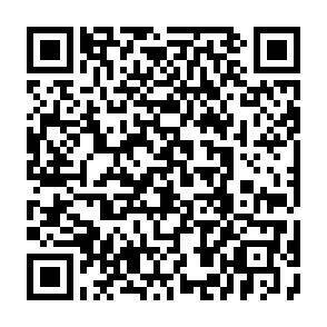 QR-Code - 