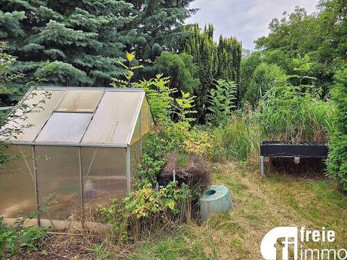 Gewächshaus - 