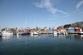 IMG_8627.JPG - 