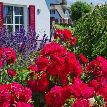 Liebevoll angelegte Beete - 