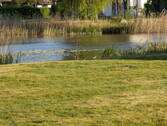 Entspannung pur Garten - 