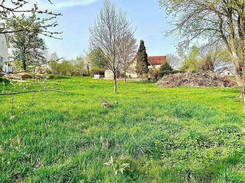 IMG_9093.jpg - Grundstück in Rabenau zum Kaufen