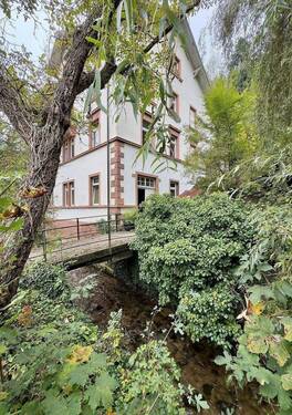 NordWest Eck 2.jpg - Mehrfamilienhaus, Wohnhaus mit 405,00 m² in Freiburg im Breisgau zum Kaufen