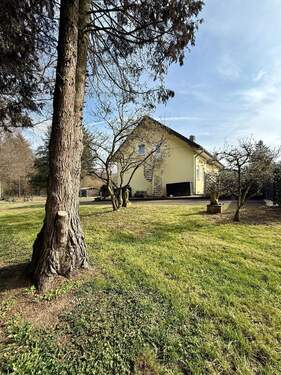 IMG_2291.jpeg - 8 Zimmer Einfamilienhaus in Irrhausen