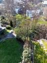 Blick vom Balkon in den Garten - 