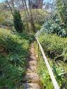 Treppe zum Naturbach - 