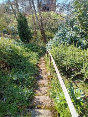 Treppe zum Naturbach - 