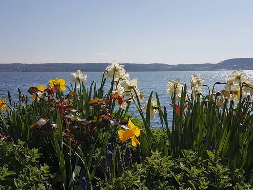 Genießen Sie den See... - 