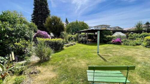 Blick in den Garten - 