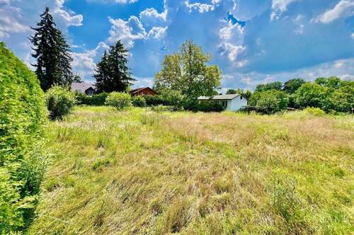Garten Blick.li..Grundstück1 - Grundstück in Falkensee