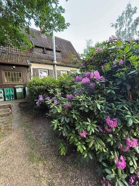 BlickzumHaus3.jpeg - 