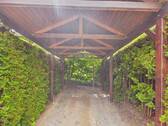 Carport - 